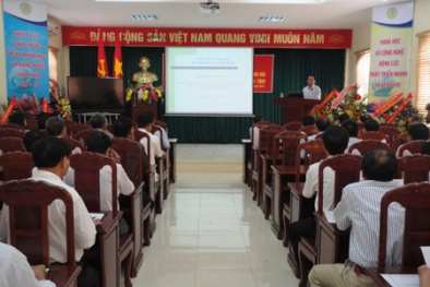 Thái Bình: Nâng cao năng suất, chất lượng sản phẩm, hàng hóa